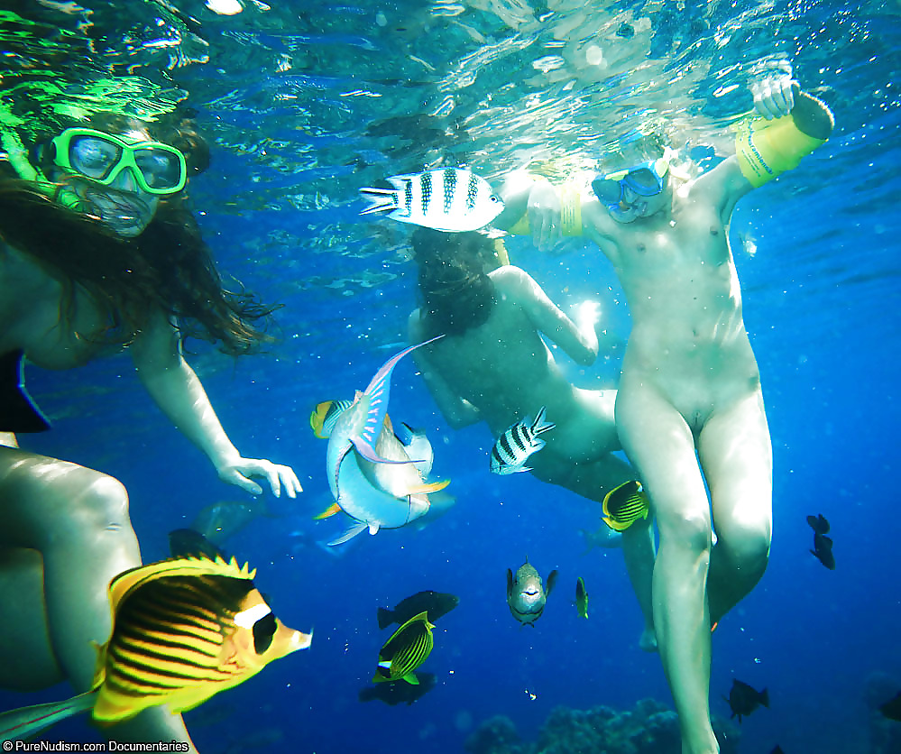 Underwater Girls III #10906486