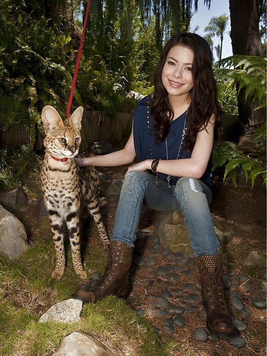 Miranda cosgrove
 #16884921