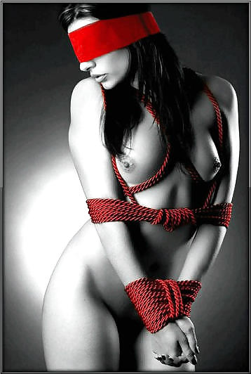 Red #12913476
