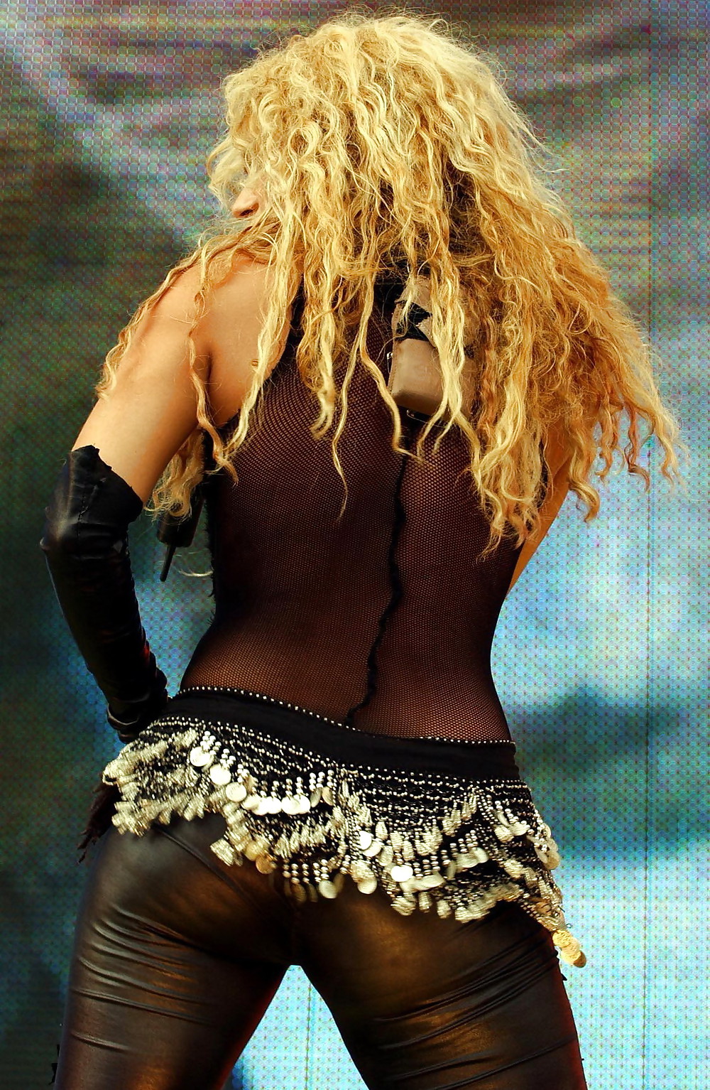 Shakira #10057309