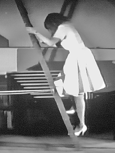 She's a climber! #3651193