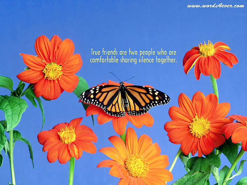 Quotes... #12229025