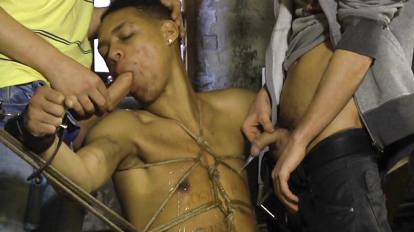 No te resistas
 #14270546