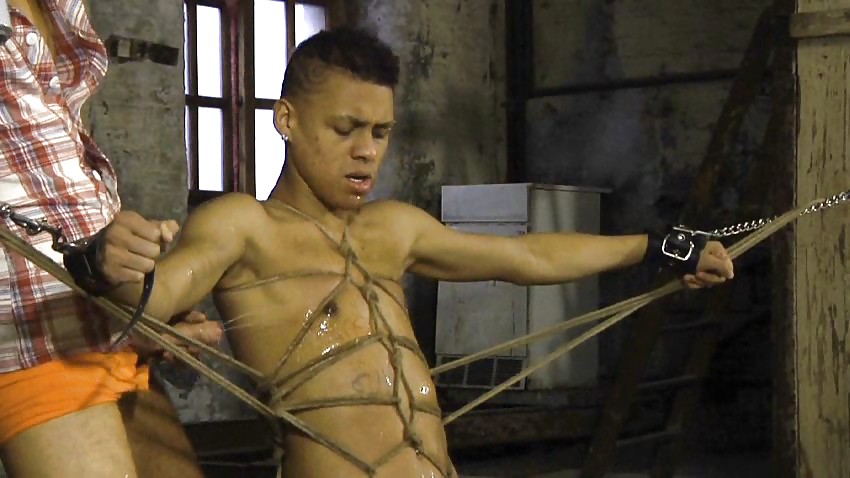 No te resistas
 #14270637