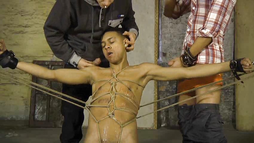 No te resistas
 #14270721