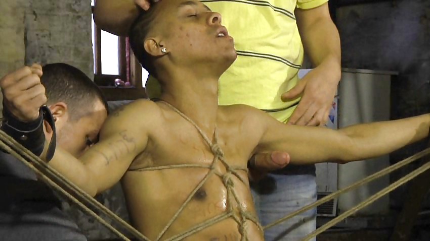 No te resistas
 #14270778