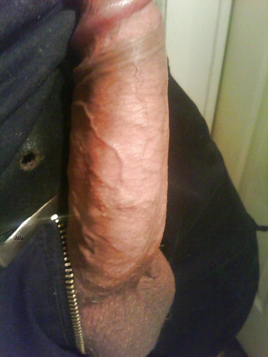 Cocklicious! 
 #9453503