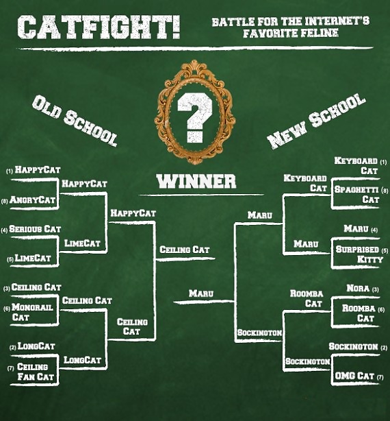 Catfight-finals #19106630