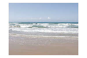 The best beaches 