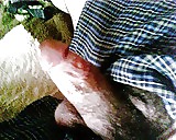 Mi polla favorita
 #12444953