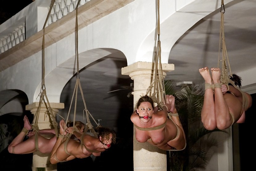 Saddo maso bondage
 #21781447