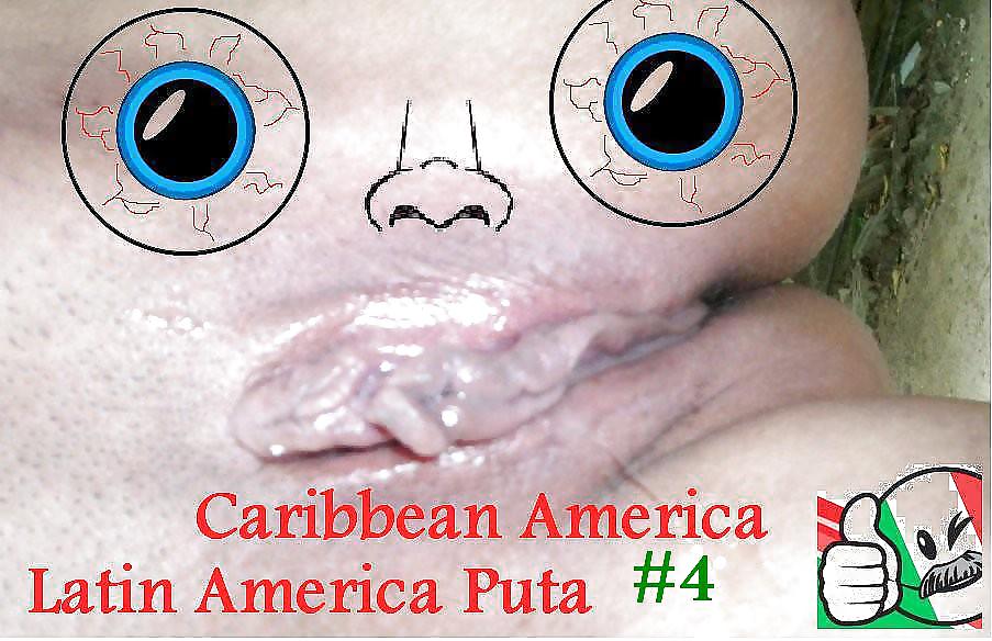 P de c a -o- l a # 4
 #5273550