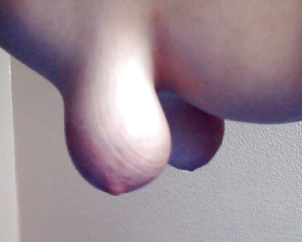Zottigen Titd #823337