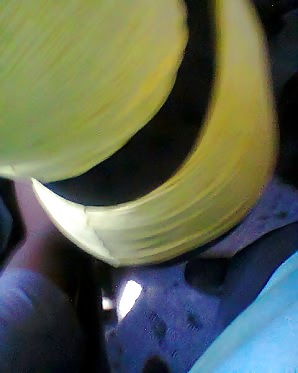 Bundas que encoxei
 #14717640