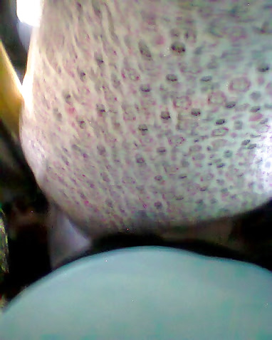 Bundas que encoxei
 #14717657