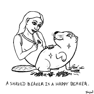 Shaved Beavers #2313210
