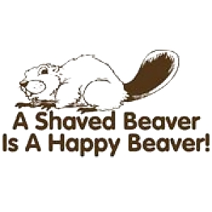 Shaved Beavers #2313227