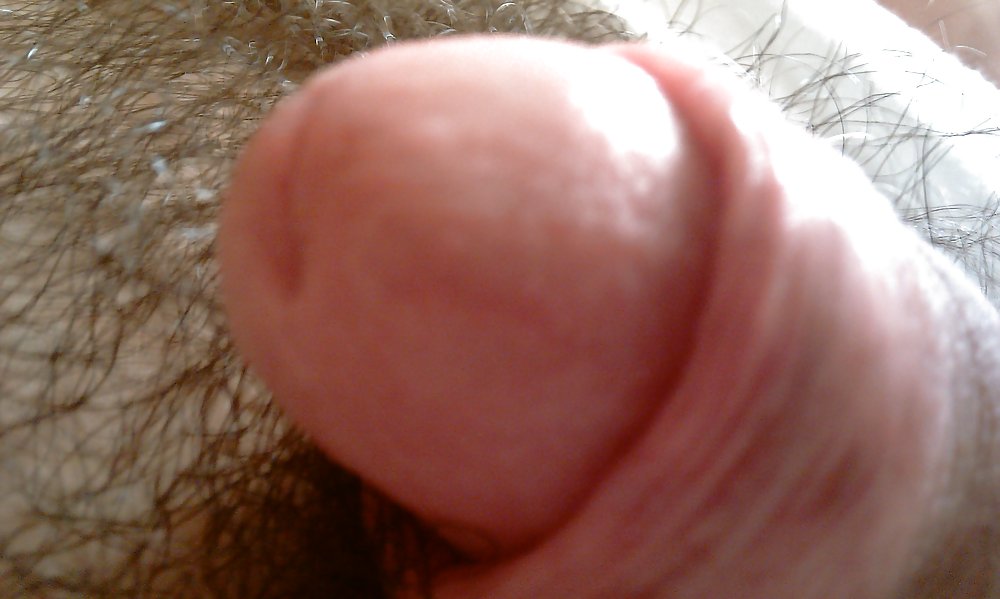 Cock head close up #1361830