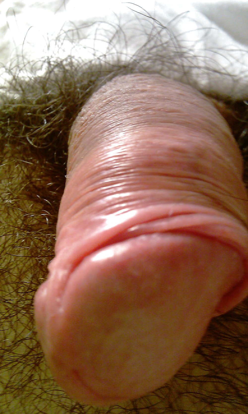 Cock head close up #1361896