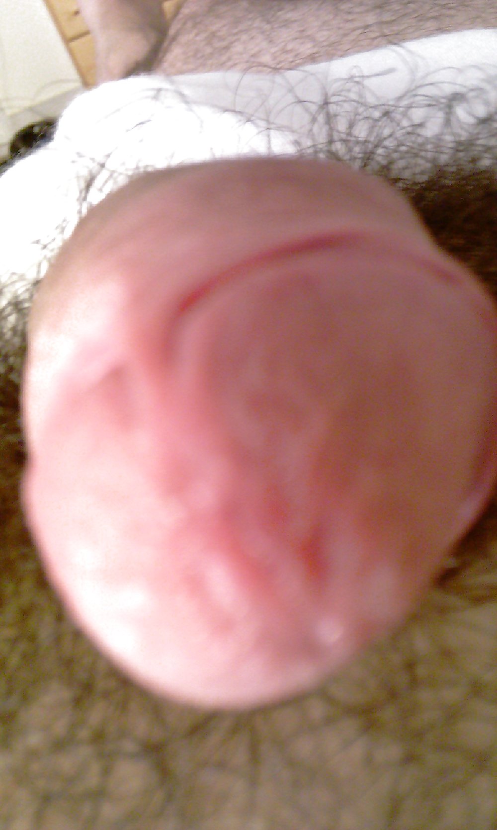 Cock head close up #1361937