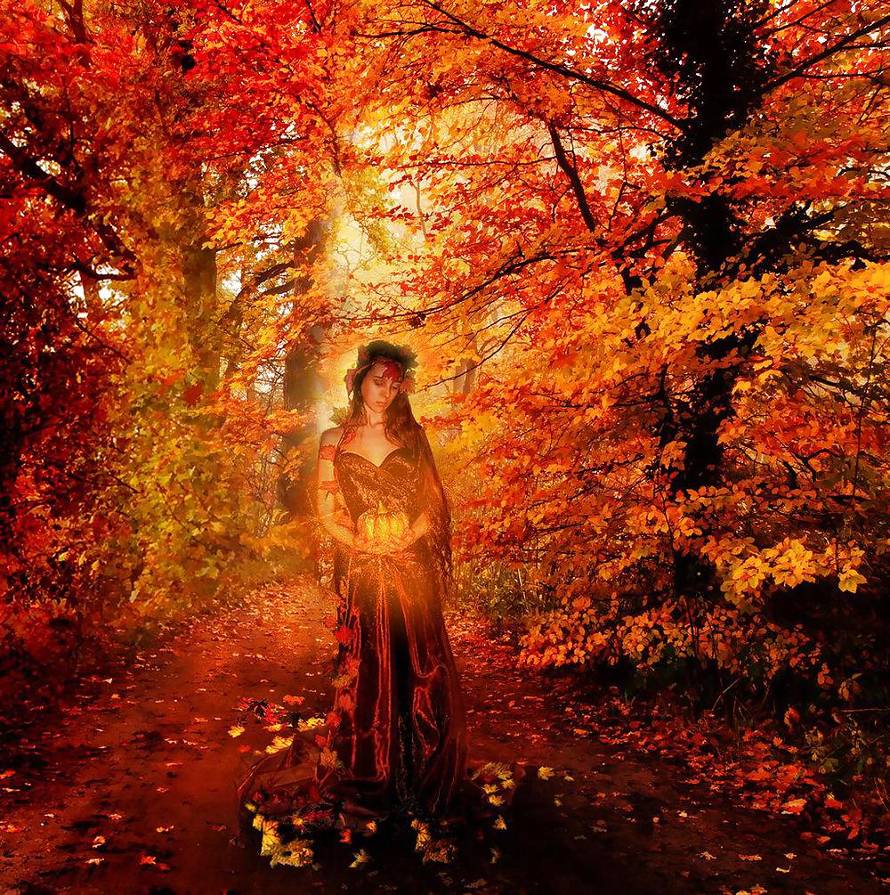 Dreams of Autumn Fall. #22267338