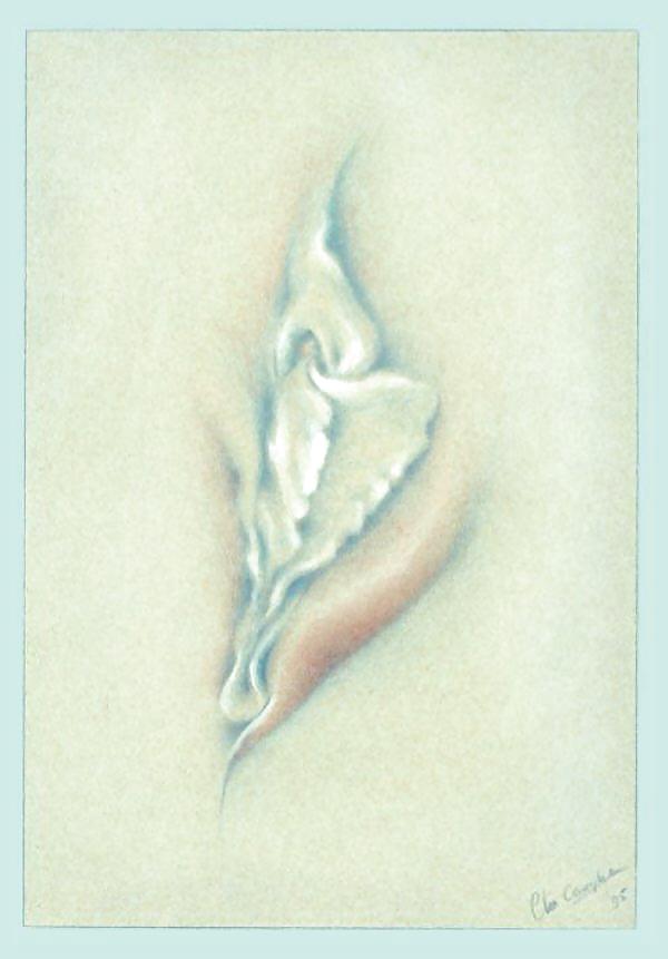 Arte de género 3 - vulva (3)
 #15133538