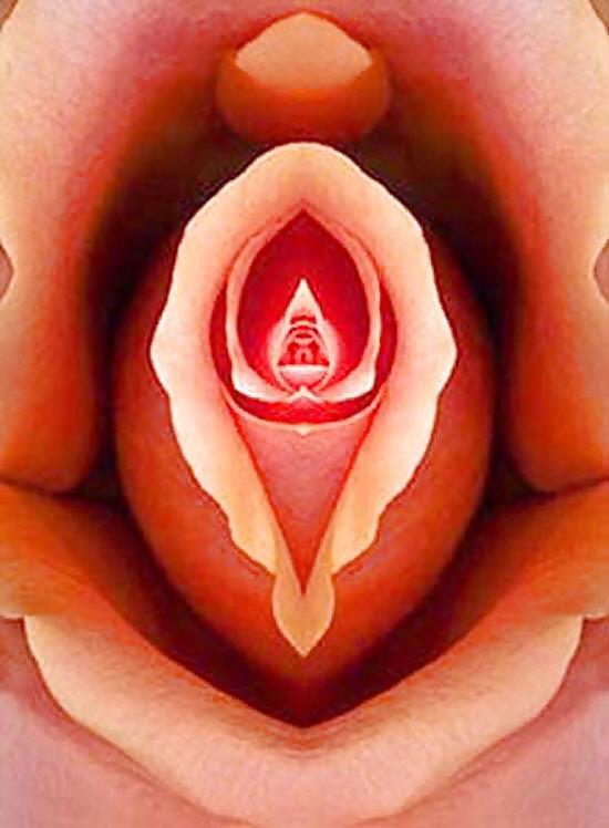 Arte de género 3 - vulva (3)
 #15133632