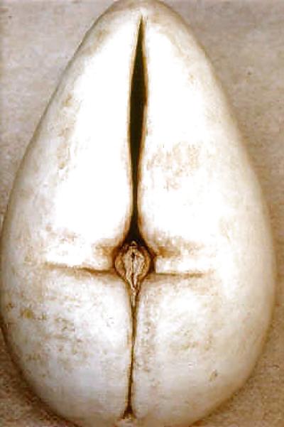 Geschlecht Kunst 3 - Vulva (3) #15133645
