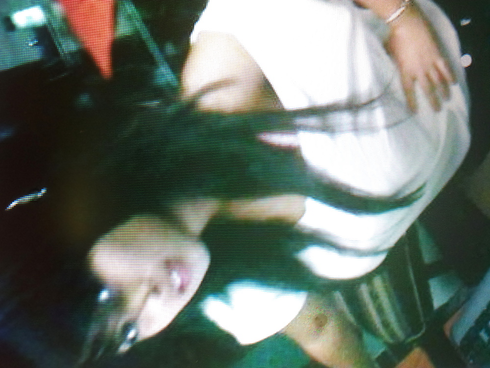 新しい友達
 #9838877