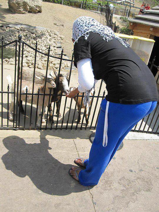 Hijab fuk  #20073463
