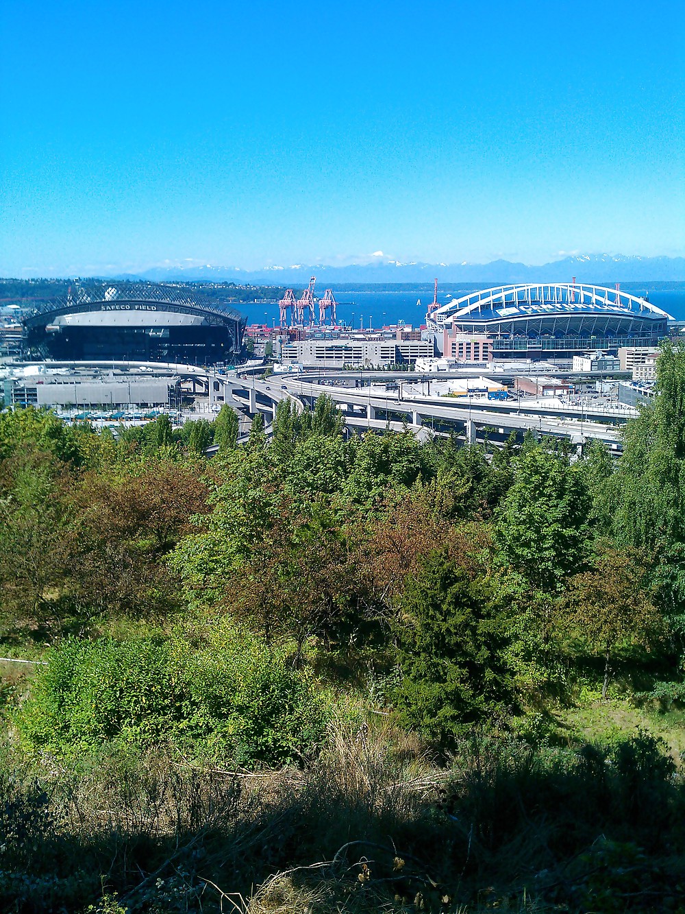 Comments please #6358072