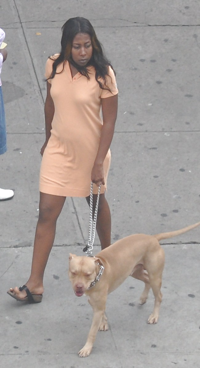 Ragazze di Harlem nel calore 294 new york - pit bull cane cagne
 #5098292