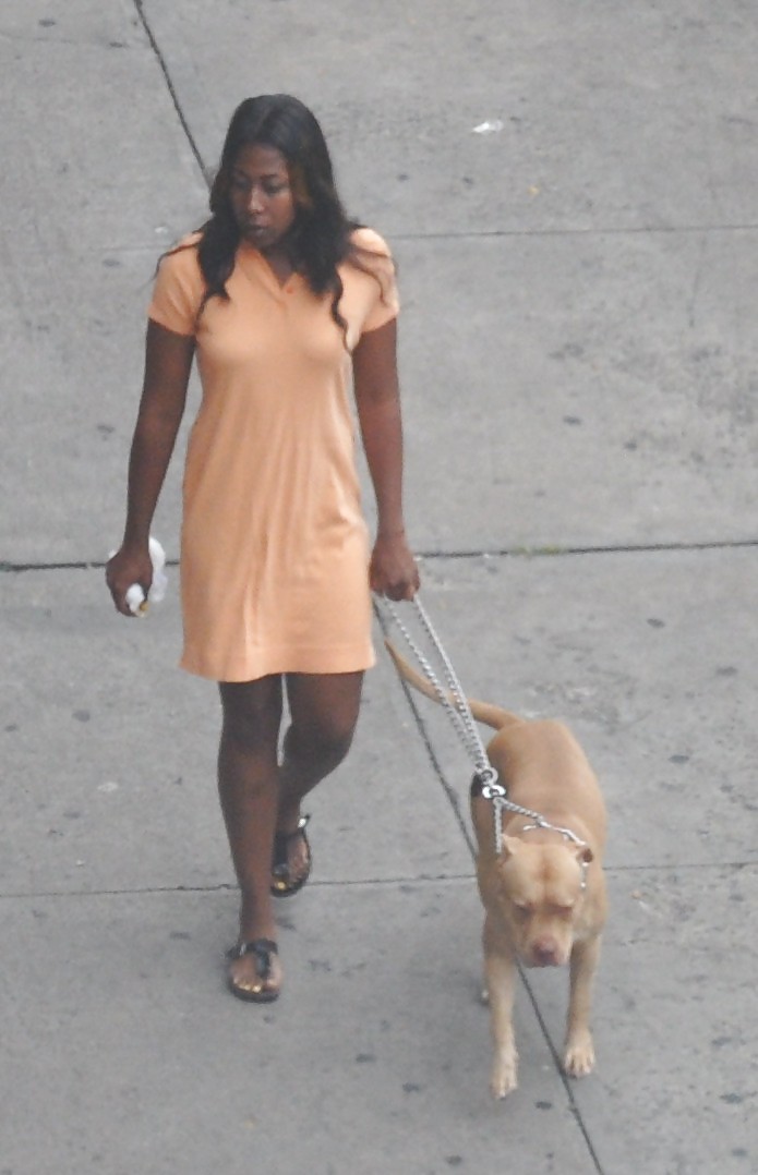 Harlem Mädchen In Der Hitze 294 New York - Pit Bull Dog Hündinnen #5098309