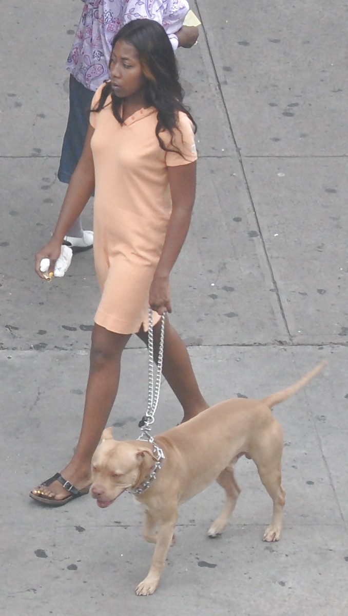 Ragazze di Harlem nel calore 294 new york - pit bull cane cagne
 #5098330