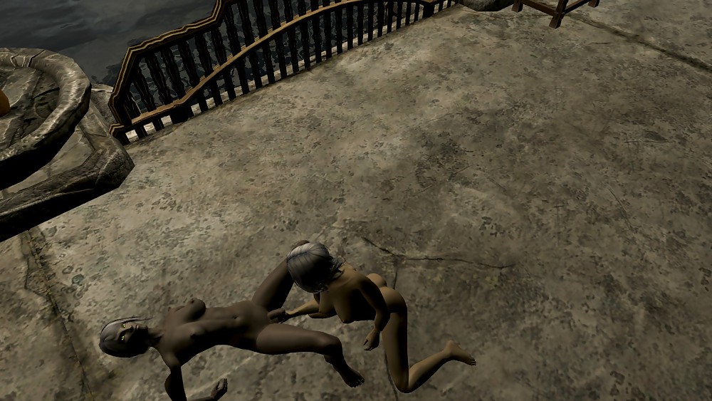 Skyrim
 #13831554
