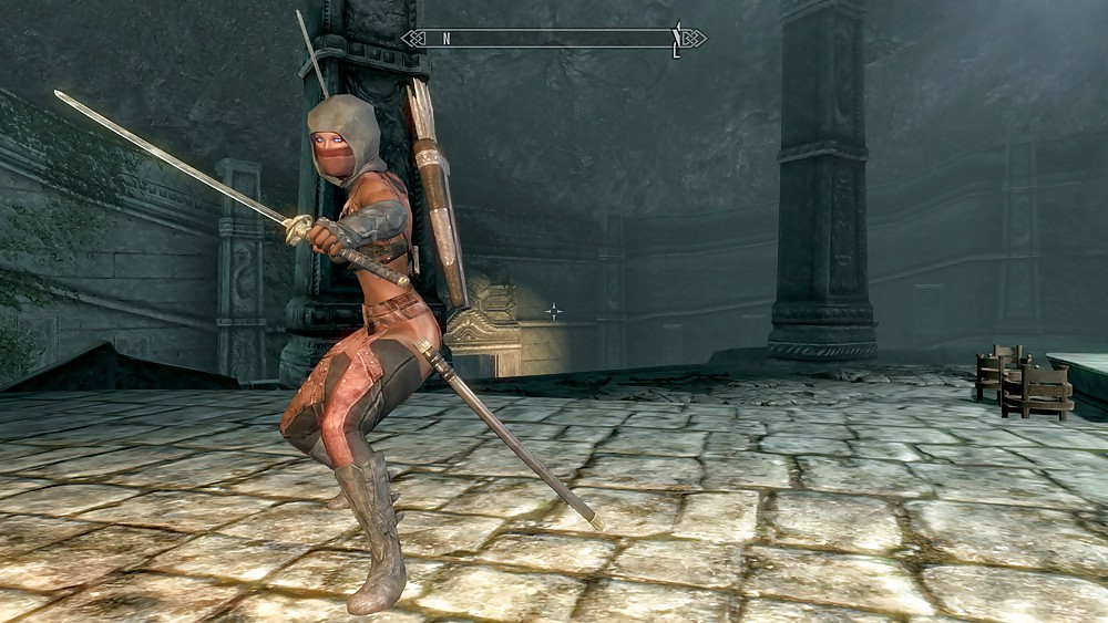 Skyrim
 #13831578
