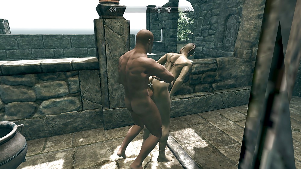 Skyrim
 #13831588