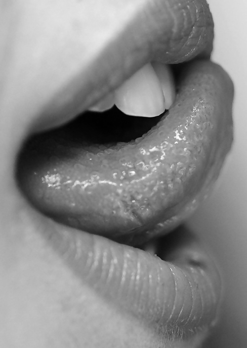 Labios - bocche
 #2752398