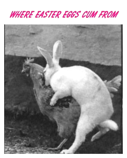 Fun Easter Stuff #18953100