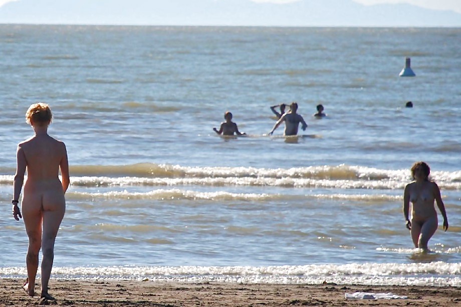 Jóvenes desnudos en la playa
 #1409951