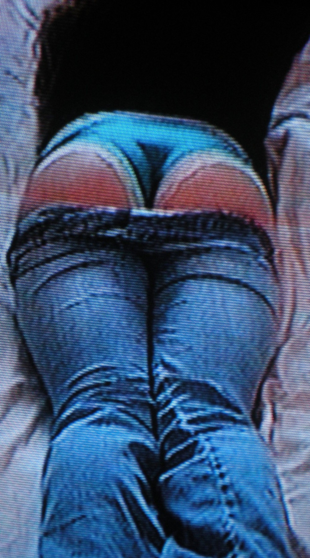 ホット！エステリータ
 #2795366