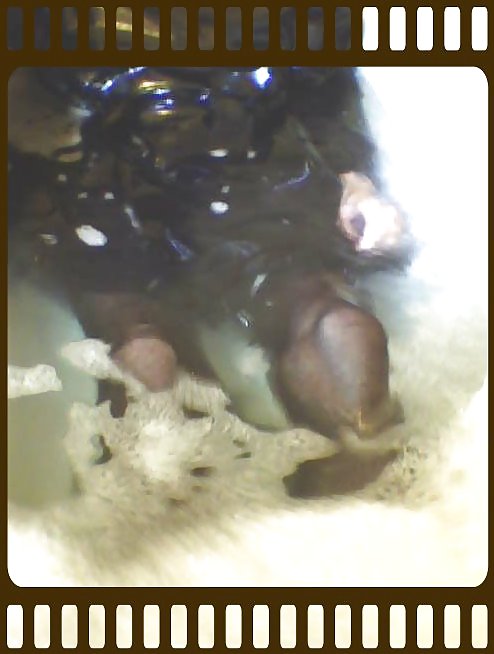 シャイニーウェット
 #13107659