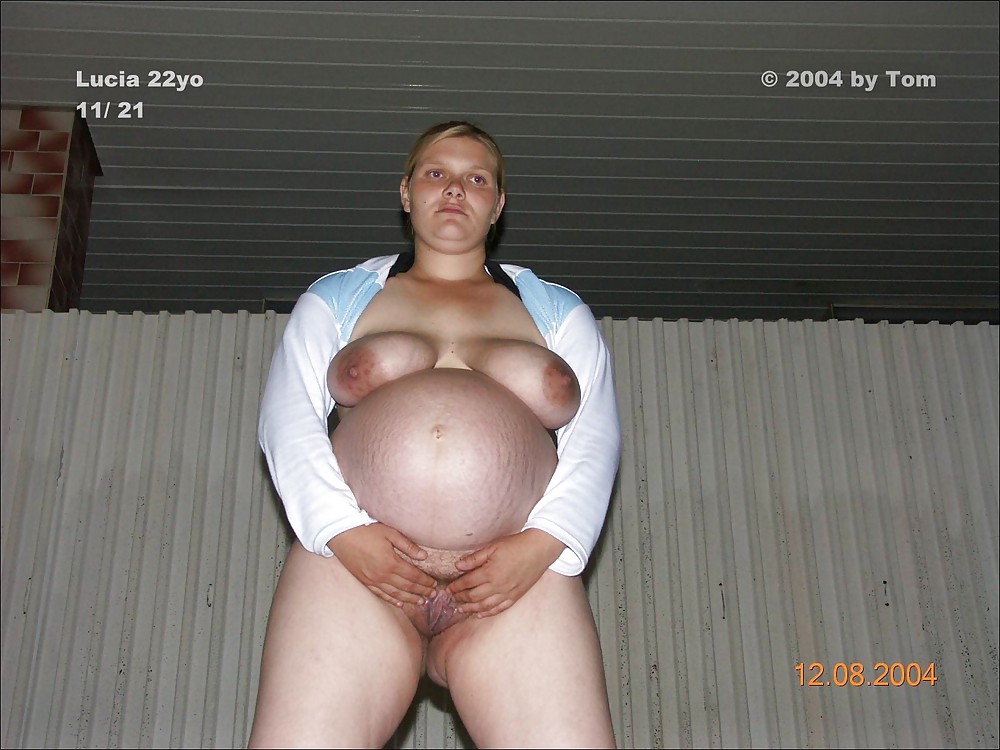 Pregnant Hairy Ameteur Big Tits - Schwangere Hausfrauen #12980194