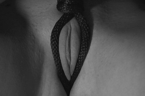 Found: ropes1 #3678964