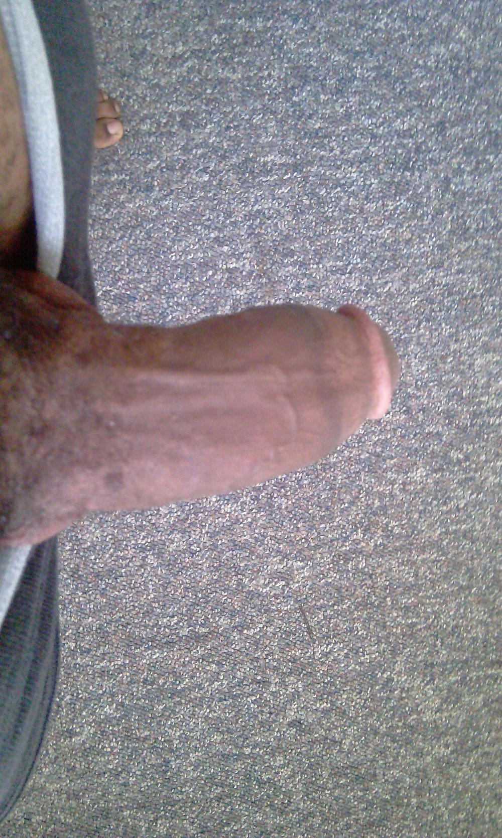 New upload #12897088