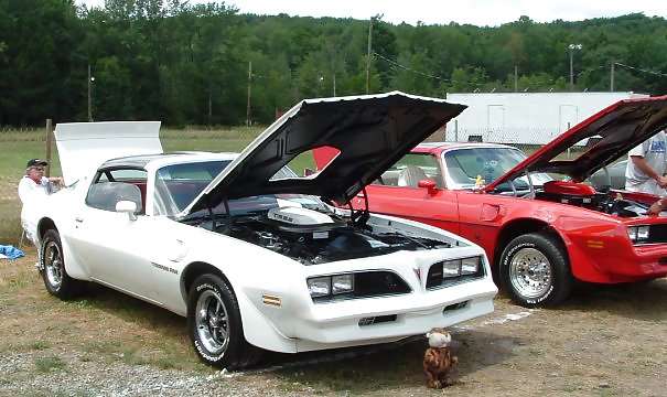 Exposición de coches y tirones de camiones
 #7127281