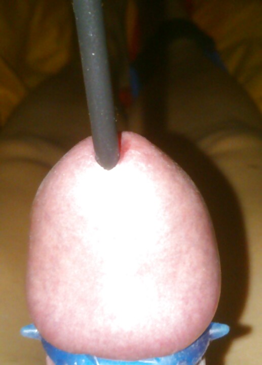 My Cock #19909487