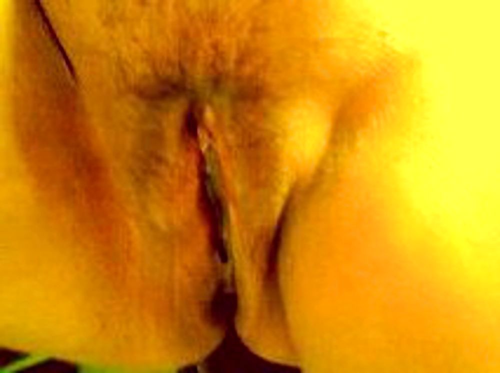 Minha Mulher Bucetuda #9748151