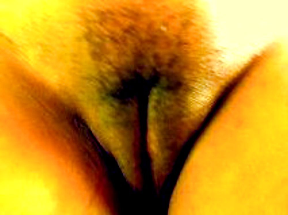 Vulgar Minha Mulher Bucetuda