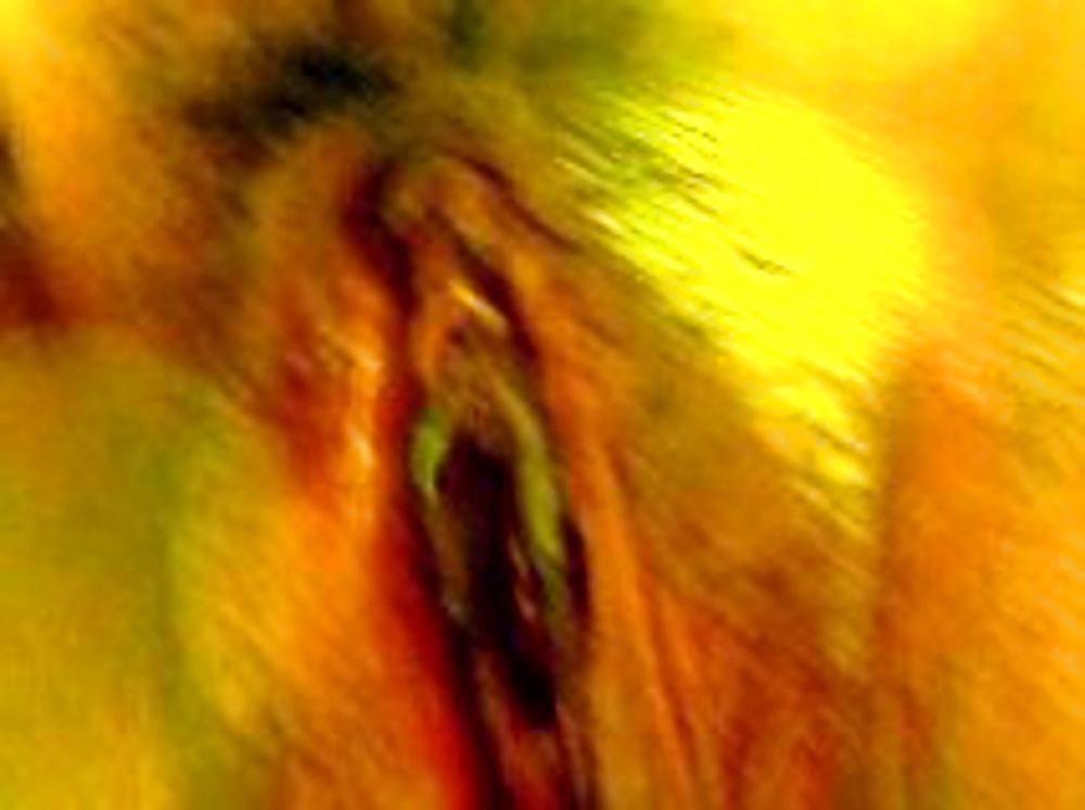 Minha Mulher Bucetuda #9748196